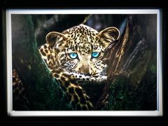 -罗红摄影艺术馆