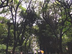 -燕晗山郊野公园