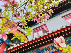-天津大悲禅院