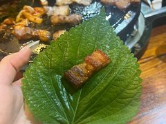 -Dombe豚(黑猪肉街店)