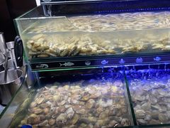 -星伦多自助料理(宝山龙湖天街店)