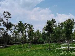 -呈贡滇池生态湿地公园