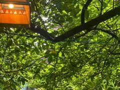 -古董花园(思南路42弄小区店)