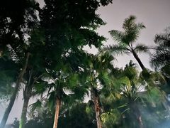 -鱼凫国都大酒店温泉