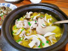 -呼吸森林·生态农庄农家乐私房菜