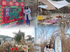 -西涌国际滨海旅游区