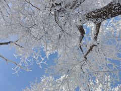 -中旅松花湖滑雪场