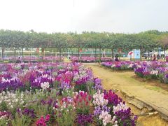 -盈香心动乐园