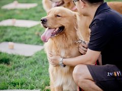 -趣玩宠物乐园寄养训犬训狗游泳池