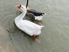 -木兰水镇旅游景区