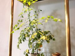 -Home Cafe(水榭春天店)