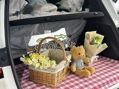 -上海浦东smart汽车全功能店(金桥店)