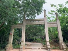 -雨花胜境