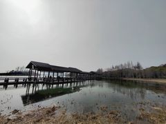 -渤公岛生态公园