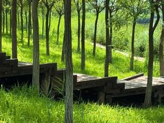 -西青郊野公园