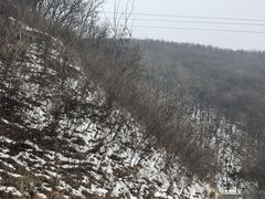 -妙峰山风景名胜区