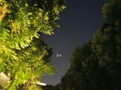 -厦门悦华酒店