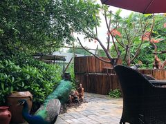 -大湾区中央湿地公园