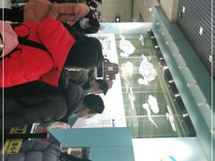 -丽江三义国际机场