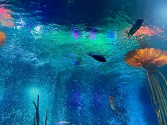 -沈阳海洋探索中心