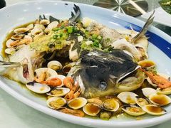 白贝河虾蒸鱼-广东道至正餐厅(区庄店)
