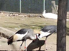 -哈尔滨北方森林动物园