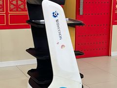 -芦月轩羊蝎子(太平桥店)