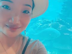 -海棠湾洲际-涛·海底餐厅·美人鱼·自助餐·海底隧道