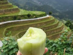 -龙脊梯田