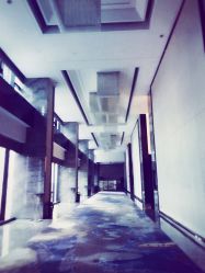 -苏州希尔顿酒店-宴会厅