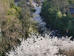 -南京城墙景区