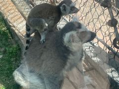 -哈尔滨北方森林动物园