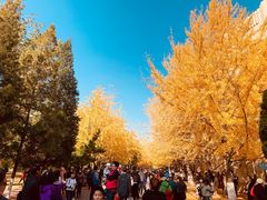 -辽宁大学(崇山校区)