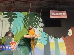 -萌宠奇缘(荣鼎店)