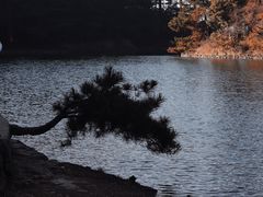 -四明山国家森林公园