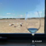 带了一瓶Cabernet Sauvignon