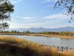 -野鸭湖国家湿地公园