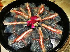-七秒鱼·斑鱼火锅(太阳城店)