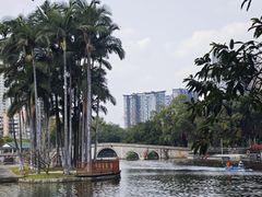 -荔湾湖公园