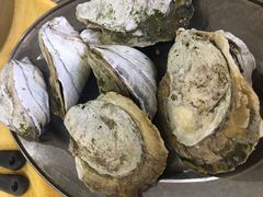 -蚝专家(北滘店)