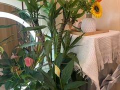 -岚魅儿·洗头头疗·按摩SPA(金光华店)