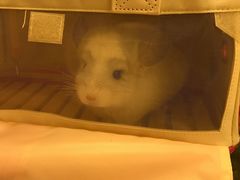 -龙猫仔乐园(惠福东路店)