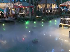 -二荆条·蜀鲜汇城市森林火锅