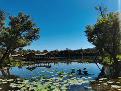 -承德避暑山庄景区