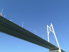 -招商蛇口邮轮母港(观光客运)