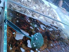 -聚盛源蒸汽海鲜火锅烤肉自助(巨川金海岸购物广场店)