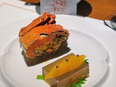 -觀芷隐轩