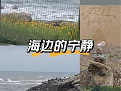 -青岛银沙滩