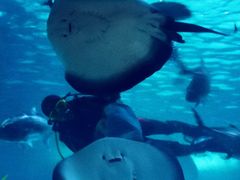 -常州海昌海洋探索馆
