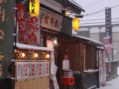 -小樽运河广场(運河プラザ)